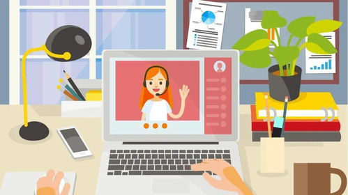 马兰花计划 全面信息咨询服务解读